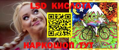 кокс Кингисепп