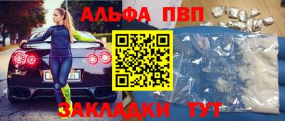 кокс Кингисепп