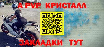 кокс Кингисепп