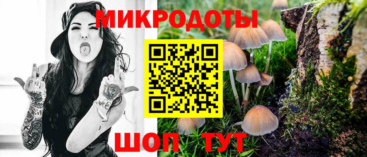 Коряжма  Псилоцибиновые грибы Psilocybine cubensis  Вход с VPN 