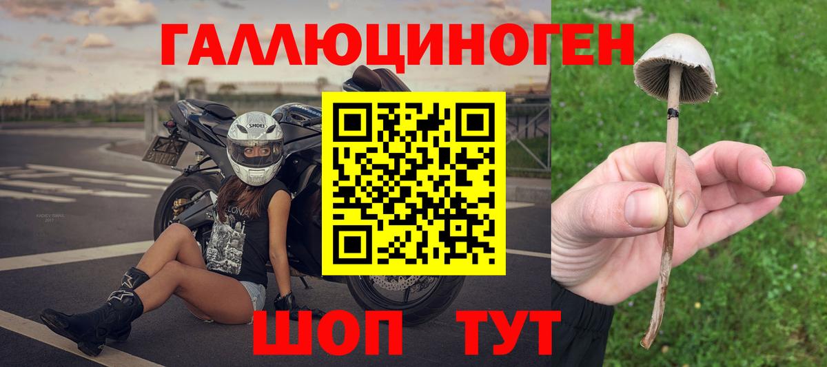 Псилоцибиновые грибы Psilocybine cubensis Коряжма