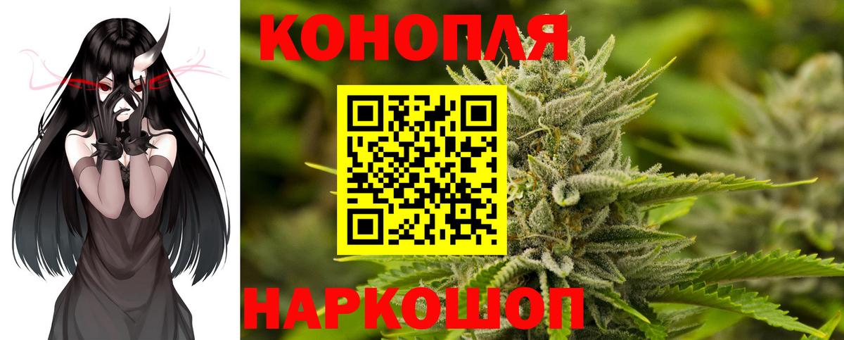 Бошки марихуана семена Коряжма